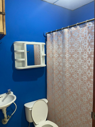 Bathroom 3, Hostal Los Chamos, Tola