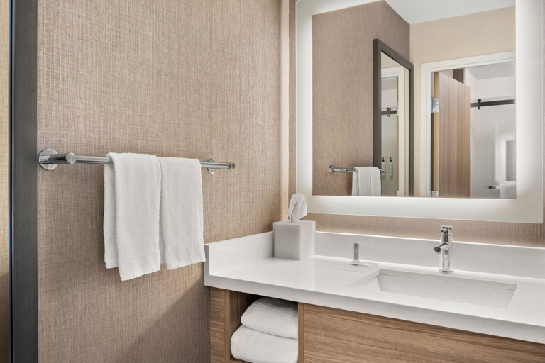 Bathroom 4, Springhill Suites By Marriott Bolingbrook, Will