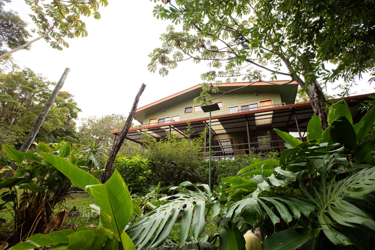 Exterior & Views 2, Cala Lodge, Puntarenas