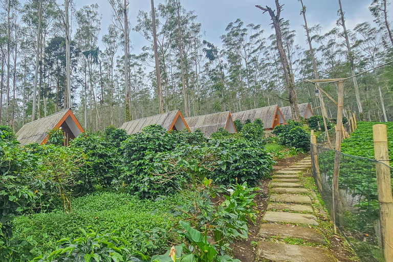 Others 4, Cigadog Residence RedPartner, Bandung