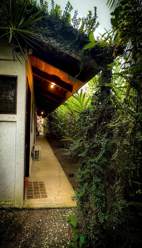 Exterior & Views 1, Cabinas Tropicales, Golfito