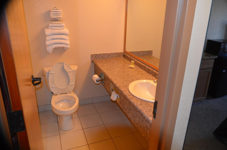 Bathroom 3, Grand Smokies Resort Lodge Pigeon Forge, Sevier