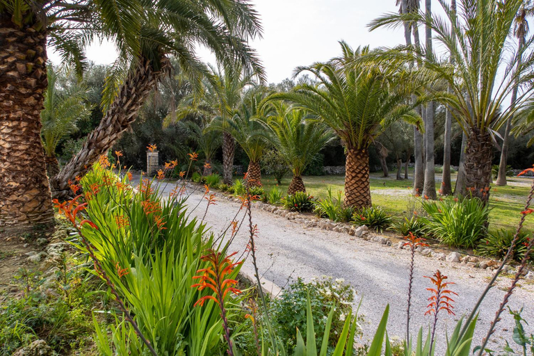 Public Area, Hotel Rural Predio Son Serra, Baleares