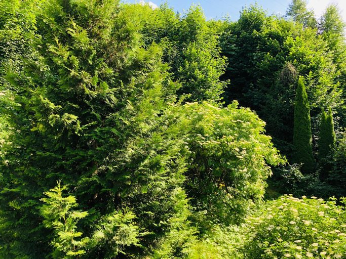 Scenery 3