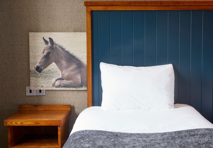 Bedroom 2, White Rabbit Hotel by Good Night Inns, Hampshire