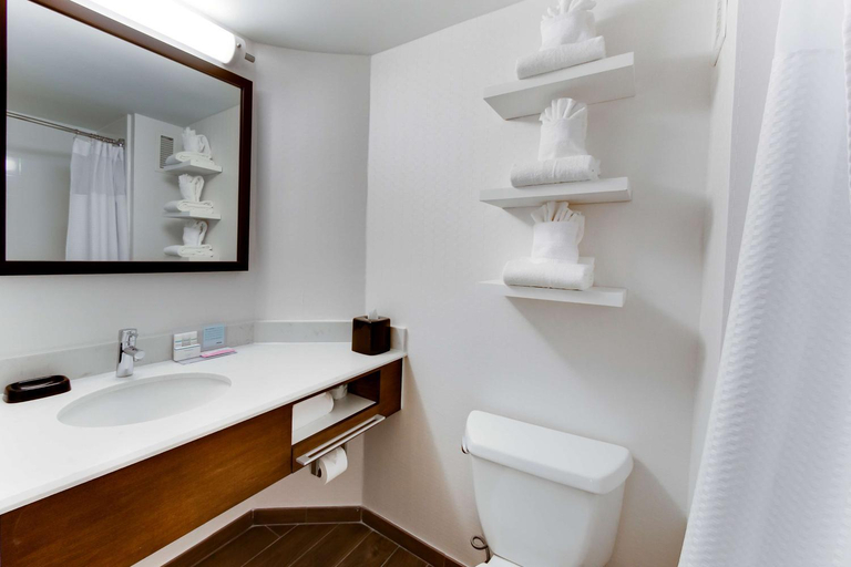 Bathroom, Hampton Inn Harrisonburg-University, Harrisonburg