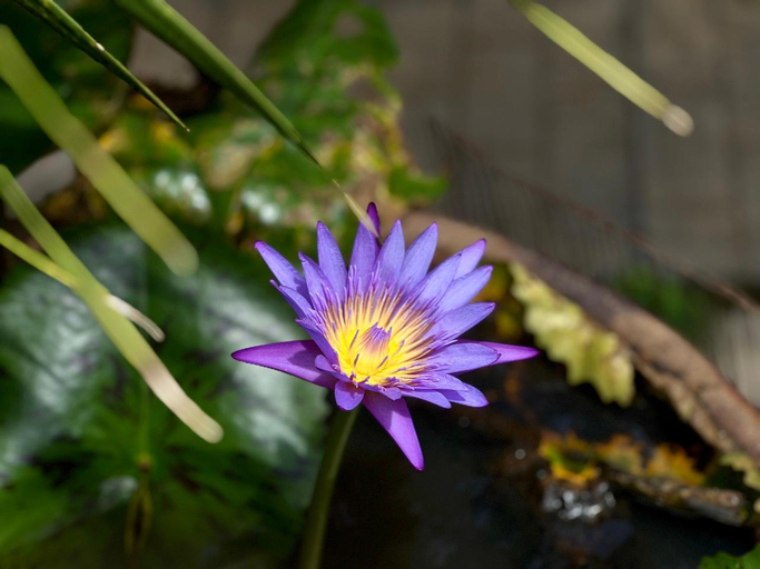 Others 4, Garden Homestay, Di Linh