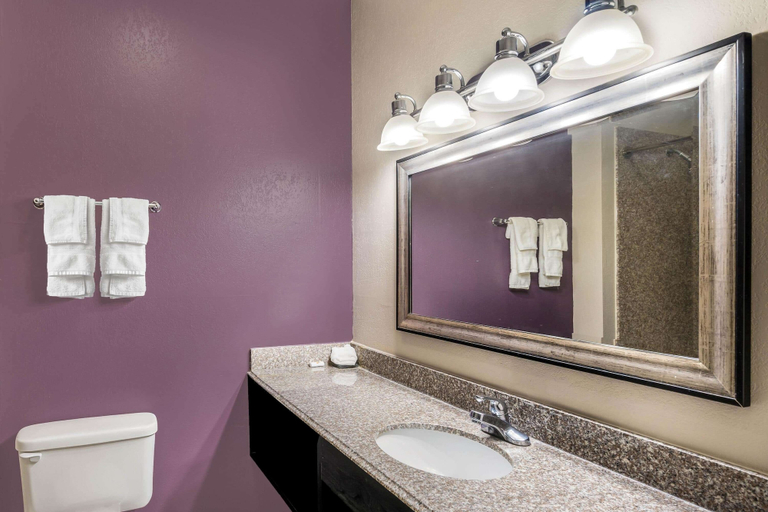 Bathroom 4, La Quinta Inn & Suites by Wyndham Canton MS, Madison