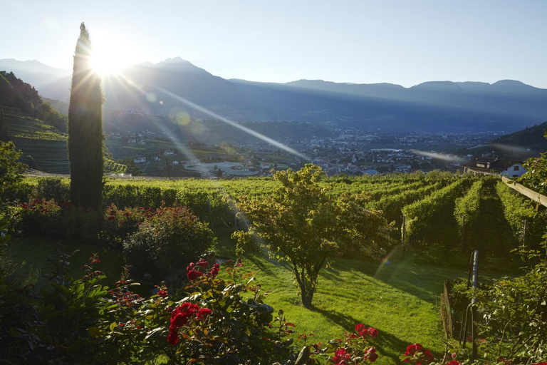 Others 5, Schloss Plars wine & suites, Bolzano