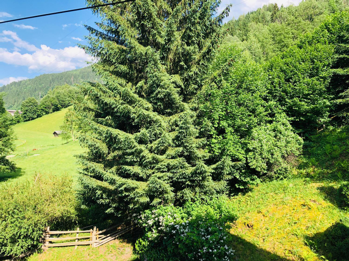 Scenery 1