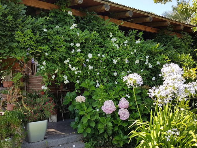 Others 4, Sta. Marta B&B, Curicó