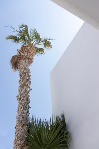 Exterior & Views 2, Cavo Bianco Boutique Hotel & Spa, South Aegean