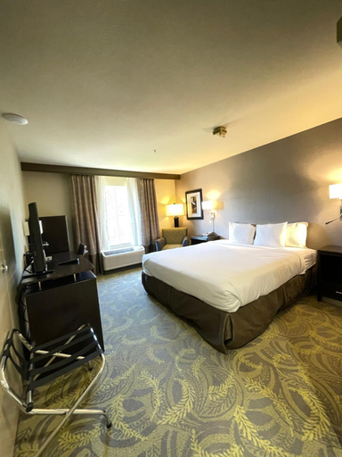 Bedroom 4, Country Inn & Suites, San Carlos, CA, San Mateo