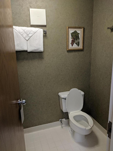 Bathroom 4, Ramada by Wyndham Raleigh, Wake