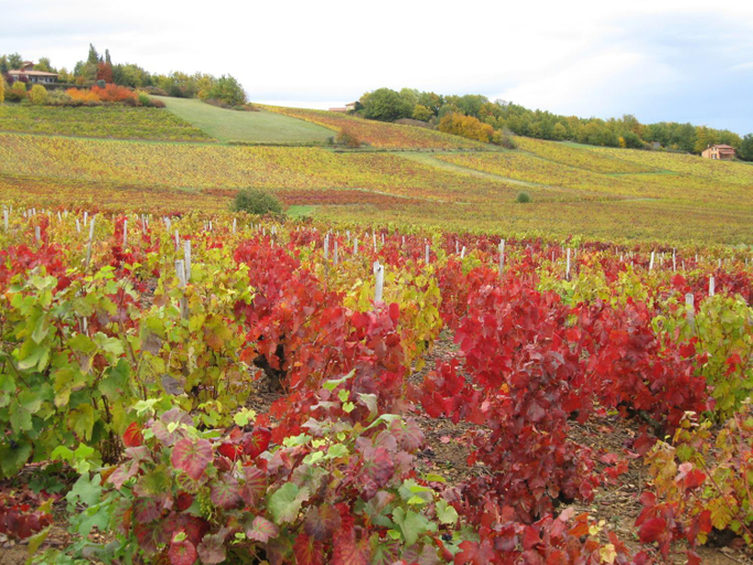 Others 5, Domaine des Aloets, Rhône