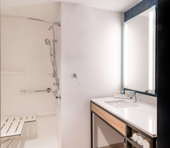 Bathroom 4, Hilton Garden Inn Flint Downtown, Genesee