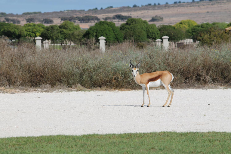 View 2, Langebaan Country Estate, West Coast