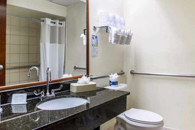 Bathroom 4, Comfort Suites Tampa - Brandon, Hillsborough