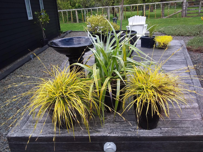 Others 4, Karapiro Willows Luxury B & B, Waipa