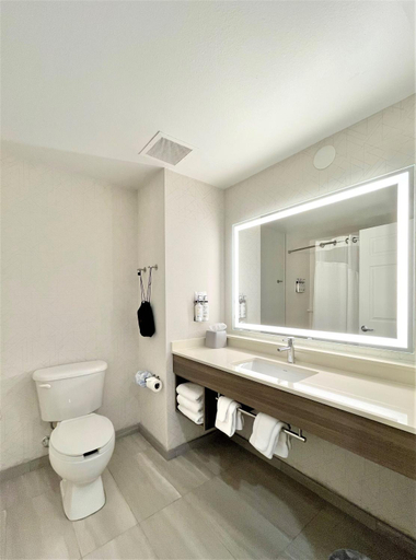 Bathroom, Holiday Inn Express & Suites TAMPA-I-75 @ BRUCE B. DOWNS by IHG, Hillsborough