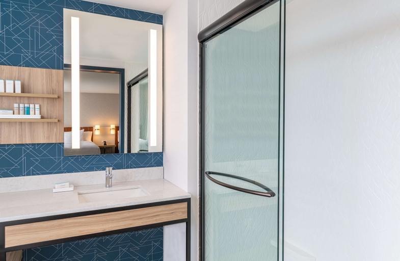 Bathroom 4, Hilton Garden Inn Flint Downtown, Genesee