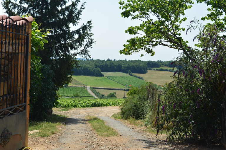 Others 4, Domaine des Aloets, Rhône