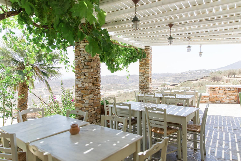 Food & Drinks 5, Windmill Bella Vista Hotel, South Aegean