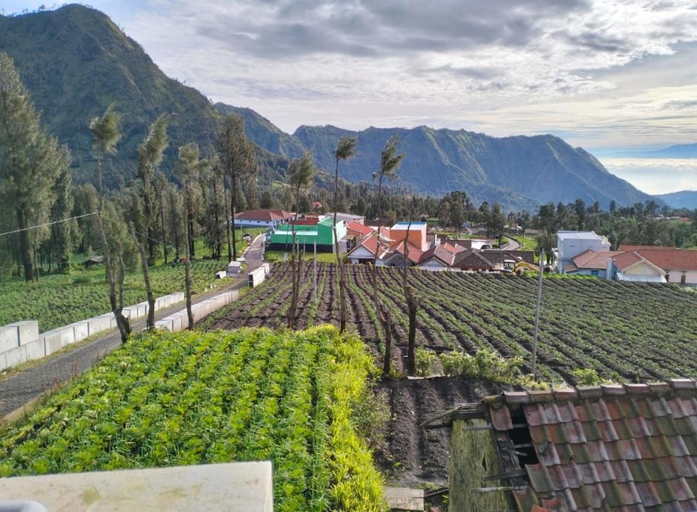 Others 4, Bromo Seruni Guesthouse, Probolinggo