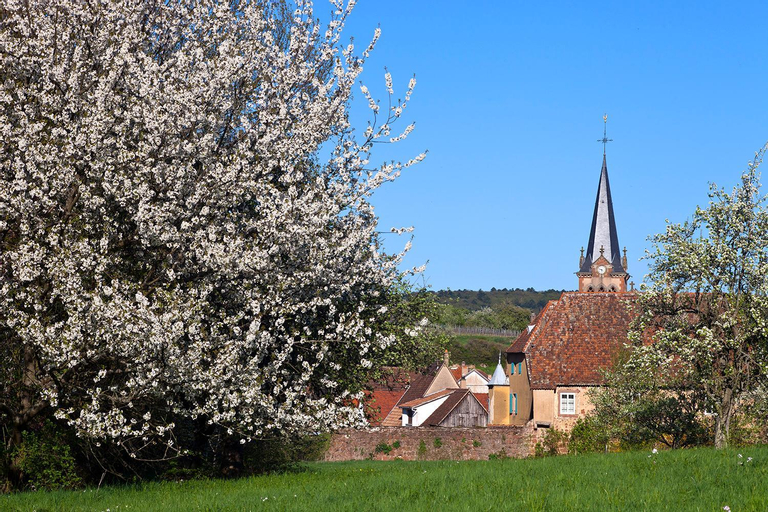 Le Nid de Birsa, 3 etoiles, hebergement de tres bon confort, Bas-Rhin