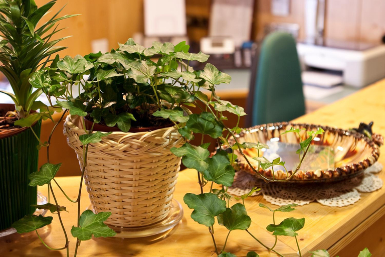 Food & Drinks 5, Garni Appartments Helvetia, Bolzano