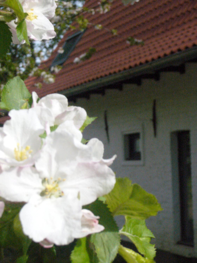 Exterior & Views 1, Relais du Silence La Ferme Blanche, Nord