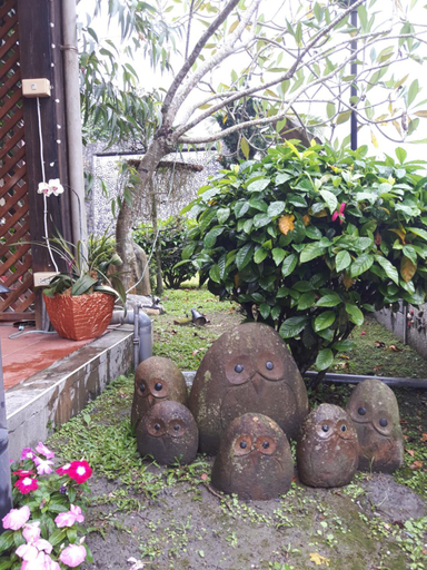 Others 3, 潔坊琳居民宿 JayLin Home, Nantou