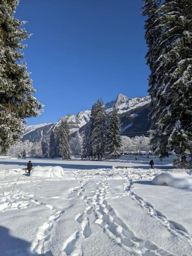 Nearby attraction 3, Chalet des Glaciers, Haute-Savoie