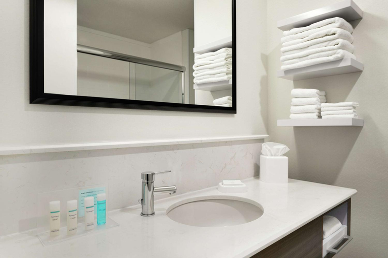 Bathroom 4, Hampton Inn & Suites St. Louis/Alton, Madison