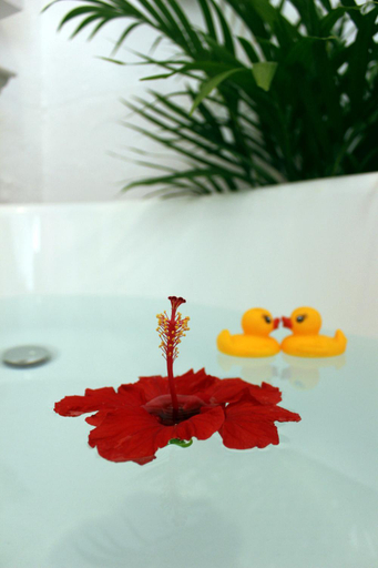 Bathroom 3, Okinawan. Sweet Home. T-8, Chatan