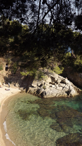 Others 5, Treumal Park, Girona