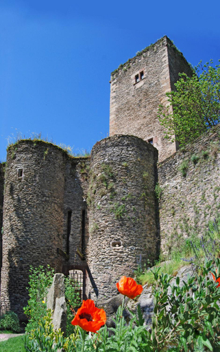 Others 4, Chambre d'Hotes au Chateau de Belcastel, Aveyron