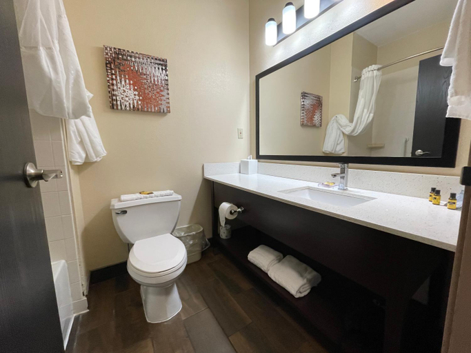 Bathroom, Best Western Plus Warsaw, Kosciusko