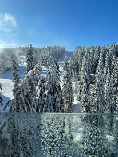 Nearby attraction, Woodside Kopaonik & SPA by Slopeview, Raška