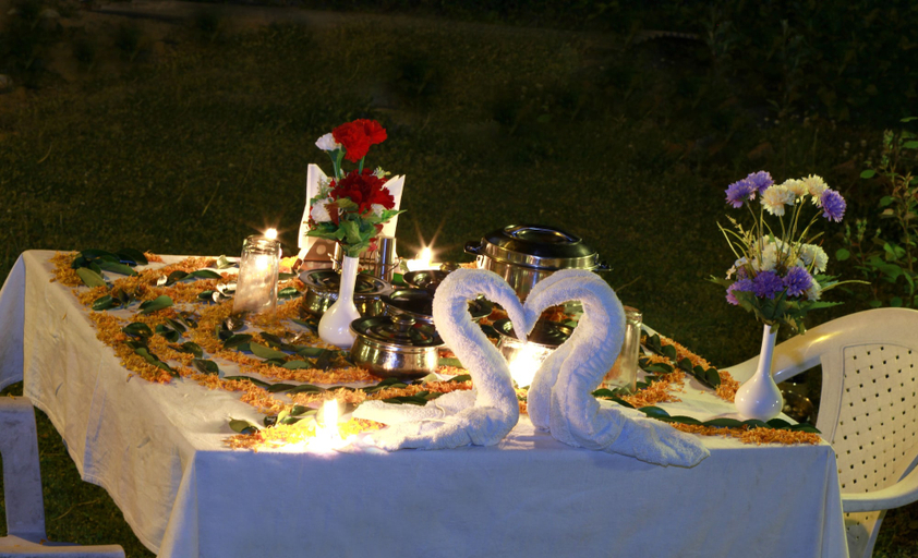 Food & Drinks 5, De Vivendi Resorts, Kullu