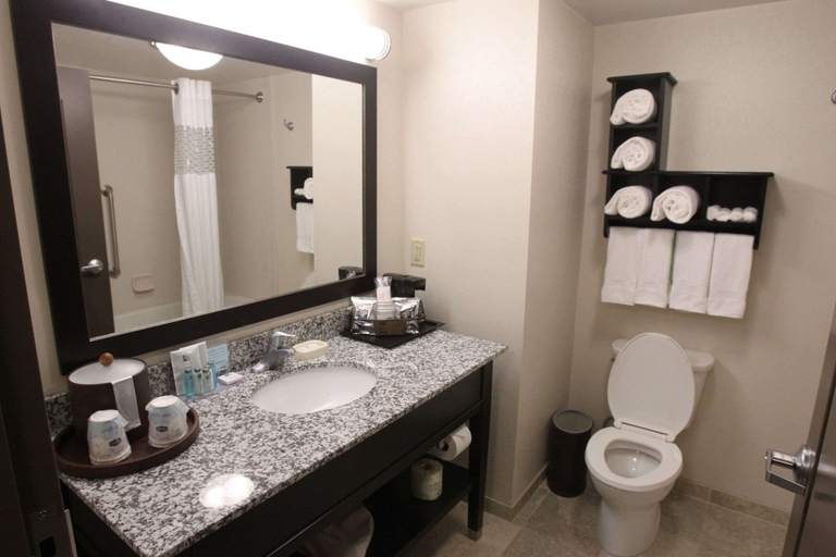 Bathroom 4, Hampton Inn & Suites Seneca-Clemson Area, Oconee