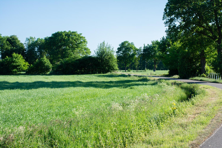 Others 4, B&B Erve de Bosch, Hof van Twente