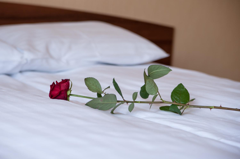 Bedroom, Hotel Hetmanski, Rawa