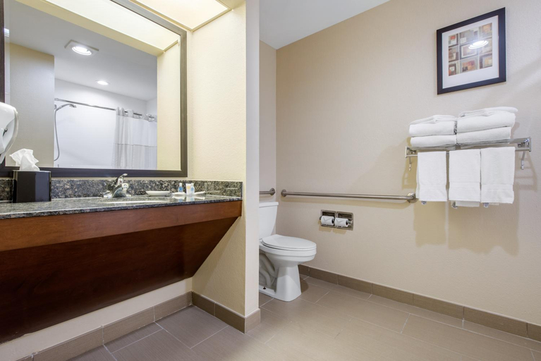 Bathroom 4, Comfort Suites Lafayette University Area, Tippecanoe