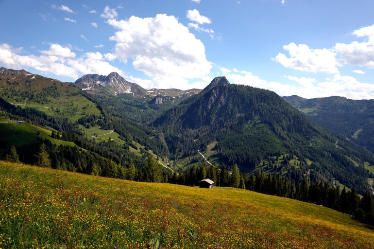 Others 4, Jagdhof, Sankt Johann im Pongau