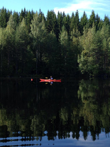 Others 4, Kyykerin Kartano, North Karelia