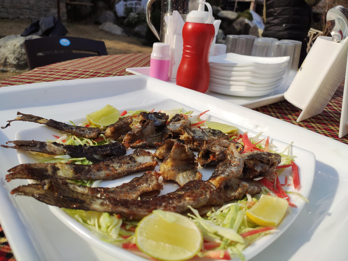 Food & Drinks 5, Vedic Vibes Nature Resort, Chamba (HP), Chamba