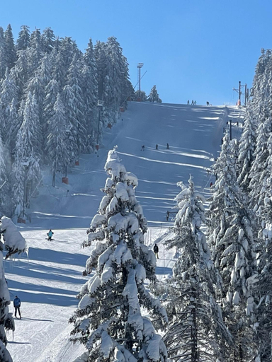 View 2, Woodside Kopaonik & SPA by Slopeview, Raška