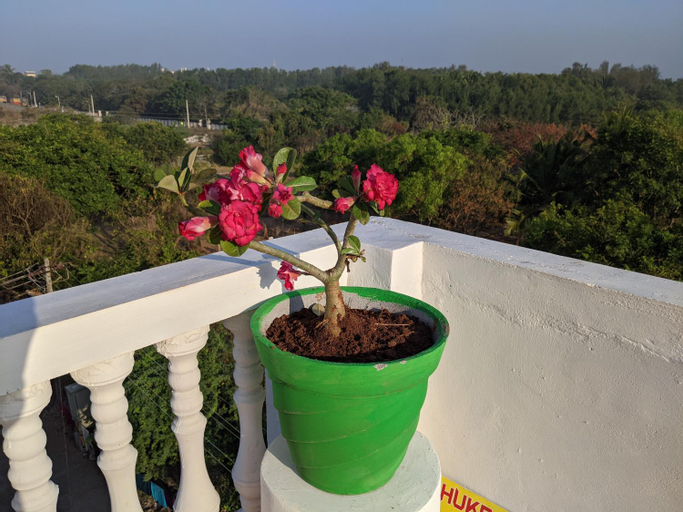 Exterior & Views 3, Blue Moon Guest House, Kancheepuram