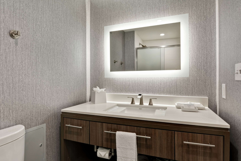 Bathroom 4, Home2 Suites by Hilton Jacksonville-South/St. Johns Town Ctr, Duval